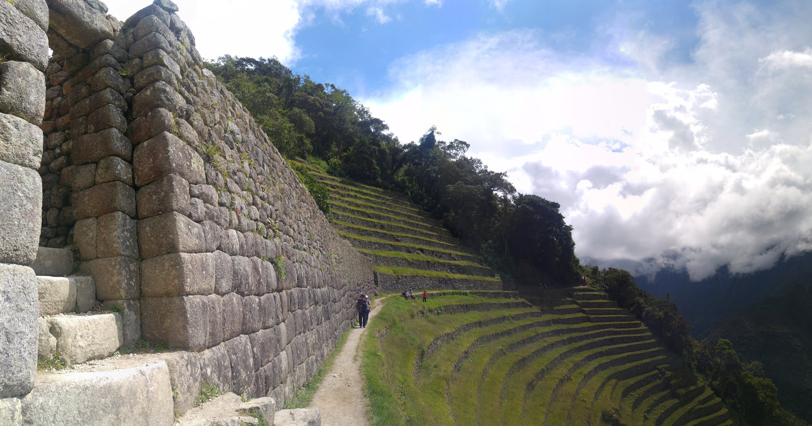 Puma Salkantay - Normal