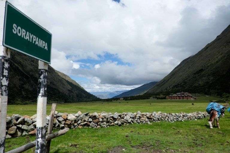 Puma Salkantay - Normal