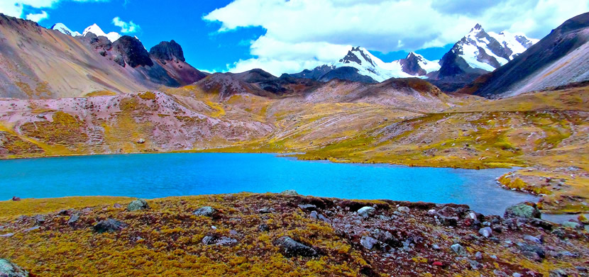 Puma Salkantay - Normal