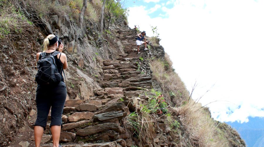 PumaSalkantay - jungle