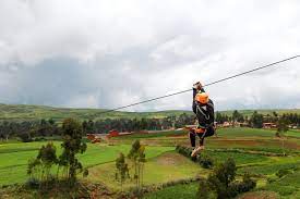 PumaSalkantay - racchi