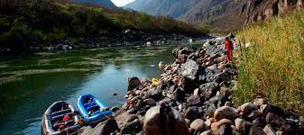 Puma Salkantay - Normal